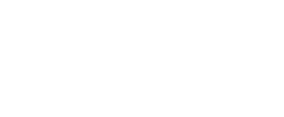 大会の歴史